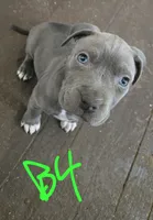 processed/bf90b40a-c5a2-47db-ad4a-d17c0ccbffcd/listing/194456f3-ad59-4f41-bab2-d34c73084d62/f2bfc747-b5c1-45ee-afc7-90a09773737e