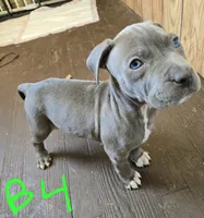 processed/bf90b40a-c5a2-47db-ad4a-d17c0ccbffcd/listing/194456f3-ad59-4f41-bab2-d34c73084d62/f3b49e6f-94de-4c1a-bb7f-49c81b181aa3