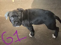 processed/bf90b40a-c5a2-47db-ad4a-d17c0ccbffcd/listing/20b8b788-855e-4255-b85e-ac1abea58ee0/10caeb84-f19b-4cec-b37d-f5d80a906ddf