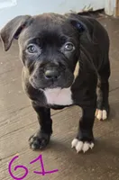 processed/bf90b40a-c5a2-47db-ad4a-d17c0ccbffcd/listing/20b8b788-855e-4255-b85e-ac1abea58ee0/3c223df7-391c-4315-93b0-8d674ef82a73