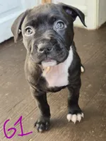 processed/bf90b40a-c5a2-47db-ad4a-d17c0ccbffcd/listing/20b8b788-855e-4255-b85e-ac1abea58ee0/3d2e85cf-a2ad-4588-b461-959dde822ebf