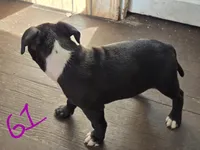 processed/bf90b40a-c5a2-47db-ad4a-d17c0ccbffcd/listing/20b8b788-855e-4255-b85e-ac1abea58ee0/93bde9de-c4d9-473d-bcab-e2e35408f325