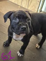 processed/bf90b40a-c5a2-47db-ad4a-d17c0ccbffcd/listing/20b8b788-855e-4255-b85e-ac1abea58ee0/daea03b1-d238-49a0-8efe-a2a48c036107