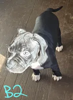 processed/bf90b40a-c5a2-47db-ad4a-d17c0ccbffcd/listing/2c2b9dde-d27a-4729-a5de-1ba555b2a218/c0a4c7db-ff83-4e64-bbb9-b3381a943d4e