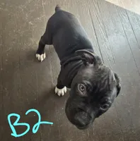 processed/bf90b40a-c5a2-47db-ad4a-d17c0ccbffcd/listing/2c2b9dde-d27a-4729-a5de-1ba555b2a218/e9e4a37f-5004-43d0-ba47-201c631bfcd5