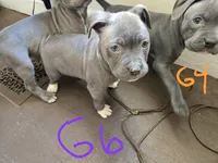 processed/bf90b40a-c5a2-47db-ad4a-d17c0ccbffcd/listing/5a34b205-c14c-47a9-b51e-091bd32dd143/60c32eeb-72b8-48ed-9d9e-c95a4bfccdac