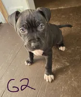 processed/bf90b40a-c5a2-47db-ad4a-d17c0ccbffcd/listing/9ca01ff2-36af-414c-bbb7-64b548662d15/7699710a-f0ce-4e06-afdb-45cc6d40cfe5