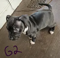 processed/bf90b40a-c5a2-47db-ad4a-d17c0ccbffcd/listing/9ca01ff2-36af-414c-bbb7-64b548662d15/81574e14-3b67-48a5-86c7-273290fb604f