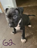 processed/bf90b40a-c5a2-47db-ad4a-d17c0ccbffcd/listing/9ca01ff2-36af-414c-bbb7-64b548662d15/91bea3b7-d1df-412c-a0df-c2a282a43d0c