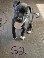 processed/bf90b40a-c5a2-47db-ad4a-d17c0ccbffcd/listing/9ca01ff2-36af-414c-bbb7-64b548662d15/d25ff1e4-7a02-4f1a-9d4f-1e7e3b3eb060