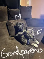 processed/bf90b40a-c5a2-47db-ad4a-d17c0ccbffcd/listing/9ca01ff2-36af-414c-bbb7-64b548662d15/d9d37d1d-7c60-4183-9729-97921c6fe070