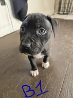 processed/bf90b40a-c5a2-47db-ad4a-d17c0ccbffcd/listing/bd829625-1243-411b-84fe-064e3b05df53/1ea005f6-cc84-4fb9-9861-9d8697395634