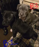 processed/bf90b40a-c5a2-47db-ad4a-d17c0ccbffcd/listing/bd829625-1243-411b-84fe-064e3b05df53/9acb6f47-3db5-4811-9c4c-5d926d374129