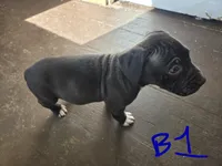 processed/bf90b40a-c5a2-47db-ad4a-d17c0ccbffcd/listing/bd829625-1243-411b-84fe-064e3b05df53/a7484736-4803-438a-a3d1-8d763b86fa41