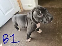 processed/bf90b40a-c5a2-47db-ad4a-d17c0ccbffcd/listing/bd829625-1243-411b-84fe-064e3b05df53/e34a16f8-5af9-40cd-a0fc-8301533a6615