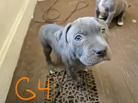 processed/bf90b40a-c5a2-47db-ad4a-d17c0ccbffcd/listing/e3cc2d6f-1880-4ca9-a98a-789e5c02a445/91e3c450-54c9-4b3a-b84f-cad5b9ba4760