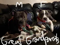 processed/bf90b40a-c5a2-47db-ad4a-d17c0ccbffcd/listing/e3cc2d6f-1880-4ca9-a98a-789e5c02a445/9cee2102-d915-43ec-a74b-92b9193d46aa