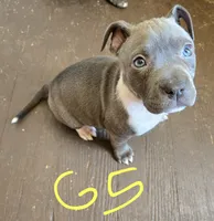 processed/bf90b40a-c5a2-47db-ad4a-d17c0ccbffcd/listing/f9fe022c-607e-4bec-bbc8-fb54e73ac77b/3b9e7170-b9e3-4e9f-9433-f14cdb1f8f04