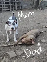 processed/bf90b40a-c5a2-47db-ad4a-d17c0ccbffcd/listing/f9fe022c-607e-4bec-bbc8-fb54e73ac77b/4aa5d7c1-ab4b-4dbd-ad4c-dadeff2424e9