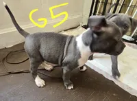 processed/bf90b40a-c5a2-47db-ad4a-d17c0ccbffcd/listing/f9fe022c-607e-4bec-bbc8-fb54e73ac77b/924d33f9-848e-4f5a-8bd4-f5af9d55b068