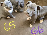 processed/bf90b40a-c5a2-47db-ad4a-d17c0ccbffcd/listing/f9fe022c-607e-4bec-bbc8-fb54e73ac77b/cf5b013f-79ac-44d9-8c0c-c5a13f7c7fb6