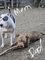 processed/bf90b40a-c5a2-47db-ad4a-d17c0ccbffcd/listing/f9fe022c-607e-4bec-bbc8-fb54e73ac77b/ec0611b5-1197-4f25-8d9b-c077bf09ce13