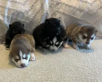 processed/bf924b4c-833e-483a-8c28-04a360036cdf/facility/598897a6-1959-48f2-b04a-731fdbffe91a