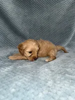 processed/bf9992e9-dcb5-47a0-b969-0e4b81a7dd94/listing/56357117-5657-424a-9312-1b5c7fbe8f5b/12b0aaad-b0ec-4f58-883e-f7d4607b9d75