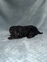 processed/bf9992e9-dcb5-47a0-b969-0e4b81a7dd94/listing/7c3e0501-b5b7-4a40-9ce9-5b7e0c85a907/28c70a70-a17b-472a-be09-6c1324373ae4