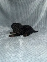 processed/bf9992e9-dcb5-47a0-b969-0e4b81a7dd94/listing/7c3e0501-b5b7-4a40-9ce9-5b7e0c85a907/85ffc0f4-89f4-421a-8f69-1a9f4da05cc4