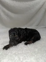 processed/bf9992e9-dcb5-47a0-b969-0e4b81a7dd94/listing/7c3e0501-b5b7-4a40-9ce9-5b7e0c85a907/c4bc3f22-fa95-4271-b753-160d317cff4e