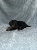 processed/bf9992e9-dcb5-47a0-b969-0e4b81a7dd94/listing/7c3e0501-b5b7-4a40-9ce9-5b7e0c85a907/e7735426-29d8-444e-b3e8-675a190998ba