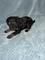 processed/bf9992e9-dcb5-47a0-b969-0e4b81a7dd94/listing/7c3e0501-b5b7-4a40-9ce9-5b7e0c85a907/ee6a304c-5067-44e0-b445-eaa5b92aff11