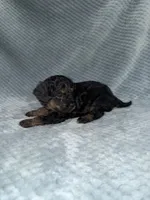 processed/bf9992e9-dcb5-47a0-b969-0e4b81a7dd94/listing/7c3e0501-b5b7-4a40-9ce9-5b7e0c85a907/f8a45d8a-07df-47b8-ae34-31f0420d5e88