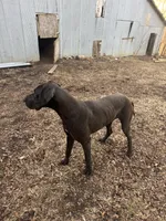 processed/bf9d7119-397e-4ccd-9b72-7482d756b15c/listing/8f830258-b6bd-4703-87d8-2d553e4f88e6/08e3bbf4-0065-4c99-9a36-86c376785ba3