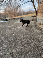 processed/bf9d7119-397e-4ccd-9b72-7482d756b15c/listing/8f830258-b6bd-4703-87d8-2d553e4f88e6/2d6e9f13-39a7-4e57-b379-aaee3fb60aec