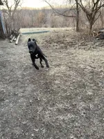 processed/bf9d7119-397e-4ccd-9b72-7482d756b15c/listing/8f830258-b6bd-4703-87d8-2d553e4f88e6/384c703f-3072-4c05-9c17-5130bcd77378