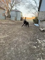 processed/bf9d7119-397e-4ccd-9b72-7482d756b15c/listing/8f830258-b6bd-4703-87d8-2d553e4f88e6/6fa43e7a-e166-4159-a50f-57c70ddb4340