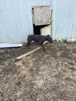 processed/bf9d7119-397e-4ccd-9b72-7482d756b15c/listing/8f830258-b6bd-4703-87d8-2d553e4f88e6/d8b01d63-9165-4525-846e-d0c74b4ea3b0