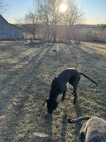 processed/bf9d7119-397e-4ccd-9b72-7482d756b15c/listing/8f830258-b6bd-4703-87d8-2d553e4f88e6/e3aea14a-d224-48ec-bd18-ee51d27dcfab