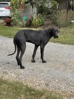 processed/bf9d7119-397e-4ccd-9b72-7482d756b15c/listing/8f830258-b6bd-4703-87d8-2d553e4f88e6/f151d982-23e2-4344-a32f-155695144d08