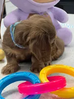 processed/bf9f4831-c89d-4f1a-b708-60388913c5c1/listing/7b2676ba-546c-47dc-94e4-9a29ea42697f/065d1982-7450-480b-b986-0044ada8e8f3