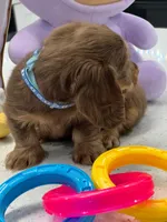 processed/bf9f4831-c89d-4f1a-b708-60388913c5c1/listing/7b2676ba-546c-47dc-94e4-9a29ea42697f/4f1a2a8b-a335-40ce-810b-3bacaf832c9d