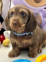 processed/bf9f4831-c89d-4f1a-b708-60388913c5c1/listing/7b2676ba-546c-47dc-94e4-9a29ea42697f/c4de5e95-e362-4cb8-a920-ce50ec4e0196