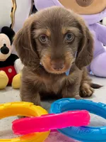 processed/bf9f4831-c89d-4f1a-b708-60388913c5c1/listing/7b2676ba-546c-47dc-94e4-9a29ea42697f/d8bb1ea6-eb25-4210-89b3-e77278a66774