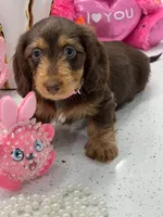 processed/bf9f4831-c89d-4f1a-b708-60388913c5c1/listing/f7788dce-e0f5-46a1-b315-9368e93cb059/38ed9a28-2978-45f0-a0d4-2f8a2ef19b7e