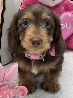 processed/bf9f4831-c89d-4f1a-b708-60388913c5c1/listing/f7788dce-e0f5-46a1-b315-9368e93cb059/786a9a57-9c15-40d1-94d9-1c468c7458ce