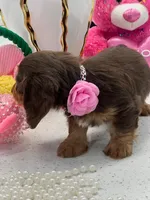 processed/bf9f4831-c89d-4f1a-b708-60388913c5c1/listing/f7788dce-e0f5-46a1-b315-9368e93cb059/97756fa6-cac3-4890-9698-8cac7a92e6c4