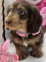 processed/bf9f4831-c89d-4f1a-b708-60388913c5c1/listing/f7788dce-e0f5-46a1-b315-9368e93cb059/bcb9d123-b4cd-4eb3-8374-297f1002aaba