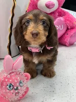 processed/bf9f4831-c89d-4f1a-b708-60388913c5c1/listing/f7788dce-e0f5-46a1-b315-9368e93cb059/eac441b8-31df-4454-af68-30753dc59689